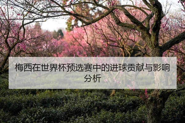 梅西在世界杯预选赛中的进球贡献与影响分析