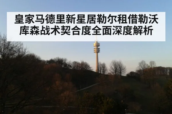 皇家马德里新星居勒尔租借勒沃库森战术契合度全面深度解析